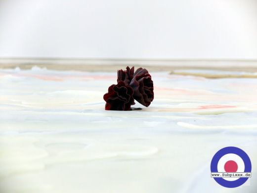 Anna Virnich (D) Galerie Reiter - Baumwollspinnerei, Leipzig  25. Februar 2023 (13).JPG